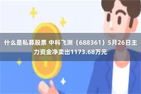 什么是私募股票 中科飞测（688361）5月26日主力资金净卖出1173.68万元