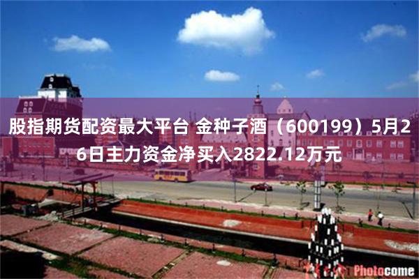 股指期货配资最大平台 金种子酒（600199）5月26日主力资金净买入2822.12万元