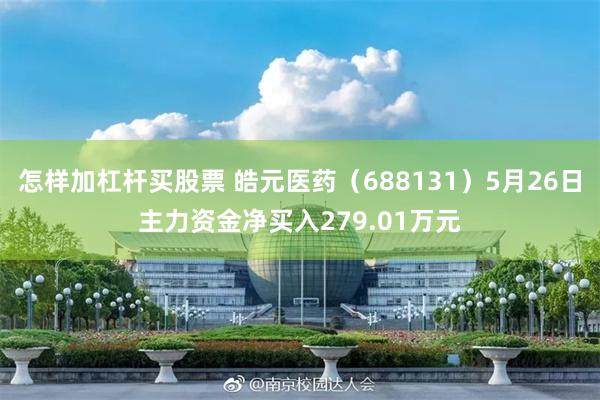 怎样加杠杆买股票 皓元医药（688131）5月26日主力资金净买入279.01万元