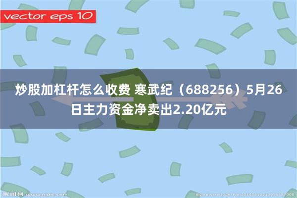 炒股加杠杆怎么收费 寒武纪（688256）5月26日主力资金净卖出2.20亿元
