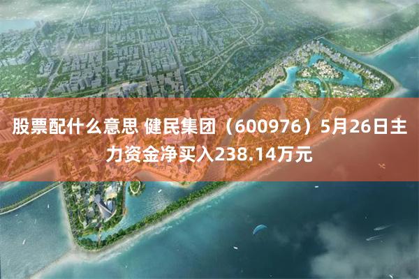 股票配什么意思 健民集团（600976）5月26日主力资金净买入238.14万元