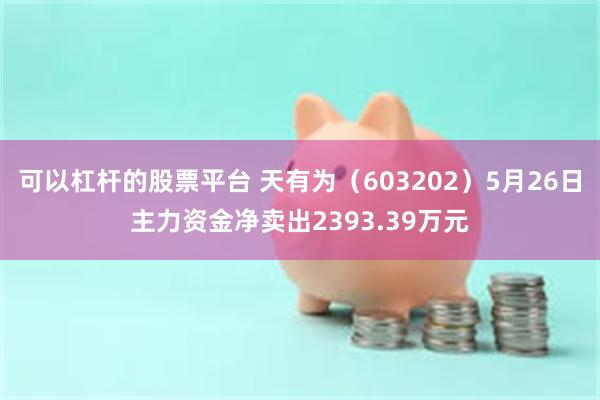 可以杠杆的股票平台 天有为（603202）5月26日主力资金净卖出2393.39万元