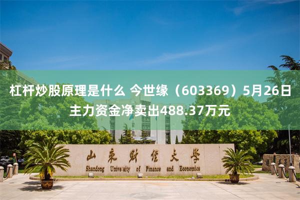 杠杆炒股原理是什么 今世缘（603369）5月26日主力资金净卖出488.37万元