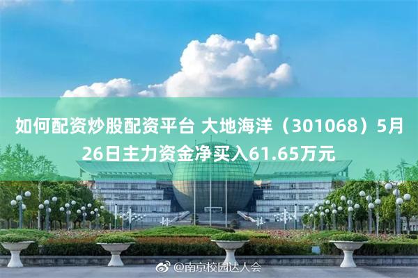 如何配资炒股配资平台 大地海洋（301068）5月26日主力资金净买入61.65万元