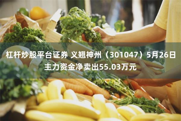 杠杆炒股平台证券 义翘神州（301047）5月26日主力资金净卖出55.03万元