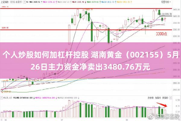个人炒股如何加杠杆控股 湖南黄金（002155）5月26日主力资金净卖出3480.76万元