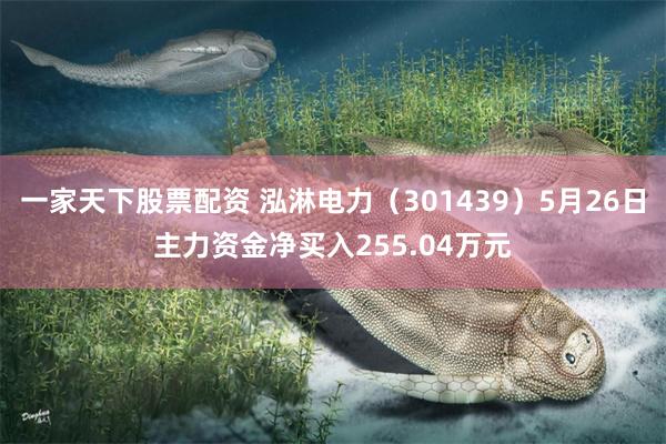 一家天下股票配资 泓淋电力（301439）5月26日主力资金净买入255.04万元