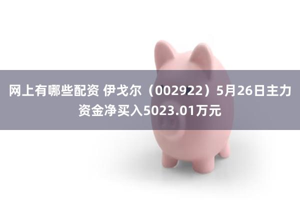 网上有哪些配资 伊戈尔（002922）5月26日主力资金净买入5023.01万元