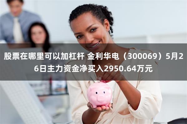 股票在哪里可以加杠杆 金利华电（300069）5月26日主力资金净买入2950.64万元