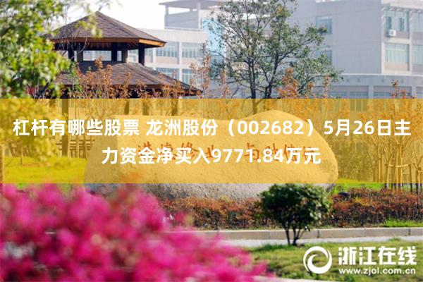 杠杆有哪些股票 龙洲股份（002682）5月26日主力资金净买入9771.84万元