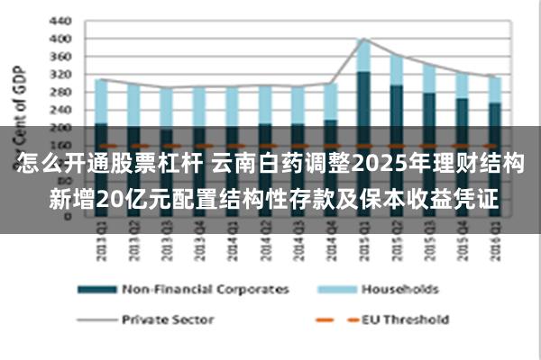 怎么开通股票杠杆 云南白药调整2025年理财结构 新增20亿元配置结构性存款及保本收益凭证