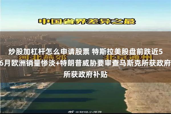 炒股加杠杆怎么申请股票 特斯拉美股盘前跌近5%！6月欧洲销量惨淡+特朗普威胁要审查马斯克所获政府补贴