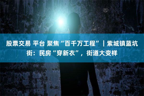 股票交易 平台 聚焦“百千万工程”｜紫城镇蓝坑街：民房“穿新衣”，街道大变样