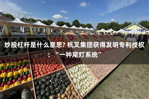 炒股杠杆是什么意思? 杭叉集团获得发明专利授权：“一种尾灯系统”