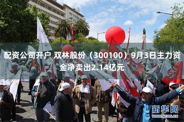 配资公司开户 双林股份（300100）9月3日主力资金净卖出2.14亿元