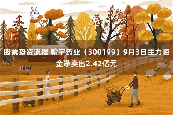 股票垫资流程 翰宇药业（300199）9月3日主力资金净卖出2.42亿元