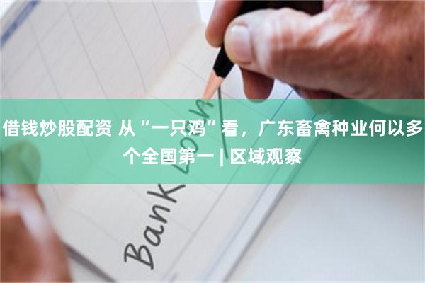 借钱炒股配资 从“一只鸡”看，广东畜禽种业何以多个全国第一 | 区域观察