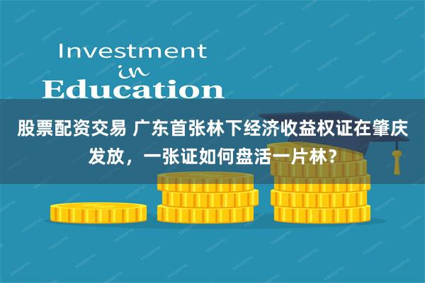 股票配资交易 广东首张林下经济收益权证在肇庆发放，一张证如何盘活一片林？