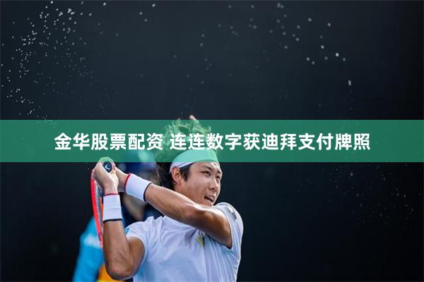 金华股票配资 连连数字获迪拜支付牌照