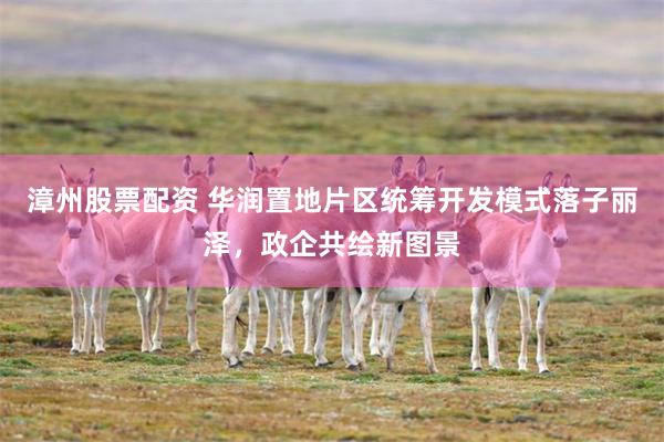漳州股票配资 华润置地片区统筹开发模式落子丽泽，政企共绘新图景