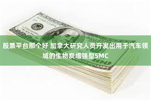 股票平台那个好 加拿大研究人员开发出用于汽车领域的生物炭增强型SMC