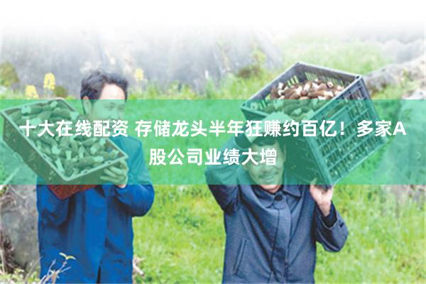 十大在线配资 存储龙头半年狂赚约百亿！多家A股公司业绩大增