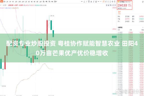 配资专业炒股投资 粤桂协作赋能智慧农业 田阳40万亩芒果优产优价稳增收
