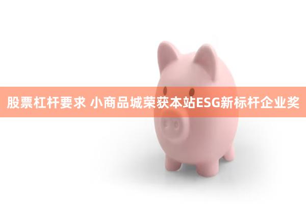 股票杠杆要求 小商品城荣获本站ESG新标杆企业奖
