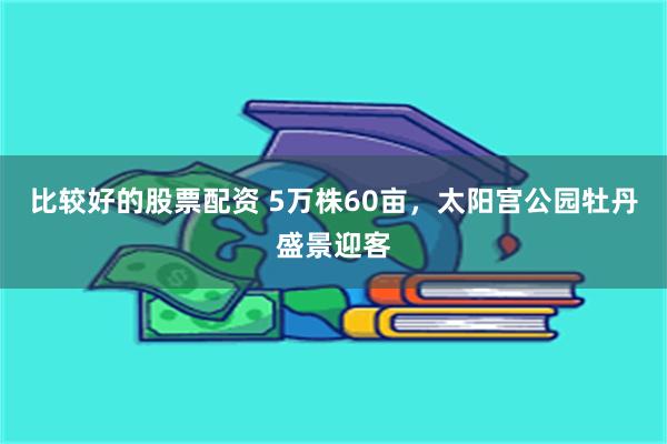 比较好的股票配资 5万株60亩，太阳宫公园牡丹盛景迎客