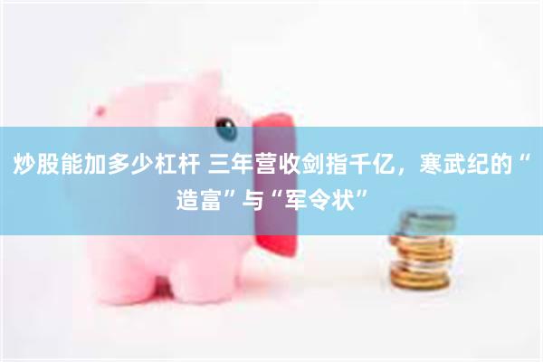 炒股能加多少杠杆 三年营收剑指千亿，寒武纪的“造富”与“军令状”