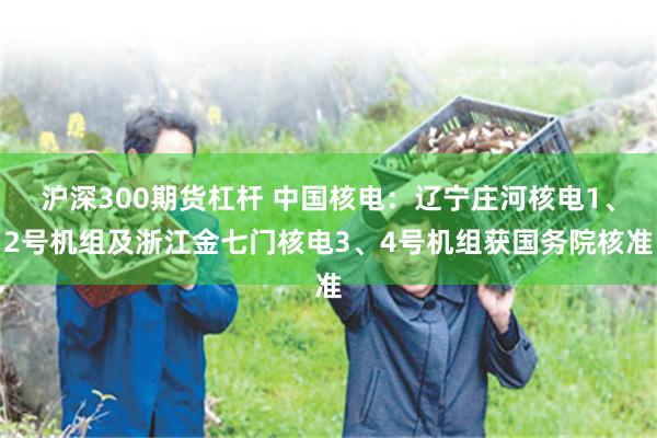 沪深300期货杠杆 中国核电：辽宁庄河核电1、2号机组及浙江金七门核电3、4号机组获国务院核准