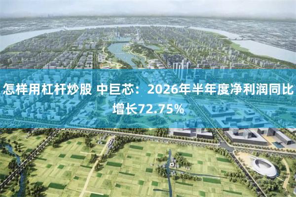 怎样用杠杆炒股 中巨芯：2026年半年度净利润同比增长72.75%