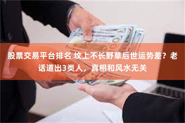 股票交易平台排名 坟上不长野草后世运势差？老话道出3类人，真相和风水无关