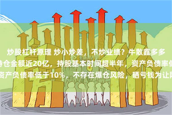 炒股杠杆原理 炒小炒差，不炒业绩？牛散鑫多多长文回应质疑：公开持仓金额近20亿，持股基本时间超半年，资产负债率低于10%，不存在爆仓风险，晒亏钱为让网友对大V祛魅