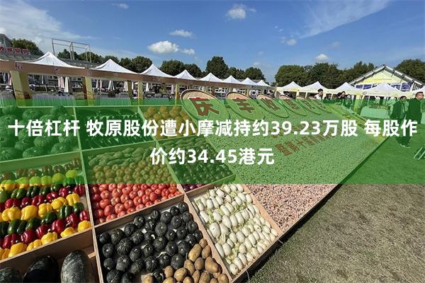 十倍杠杆 牧原股份遭小摩减持约39.23万股 每股作价约34.45港元