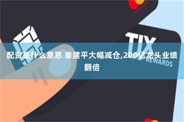 配资是什么意思 章建平大幅减仓,200亿龙头业绩翻倍