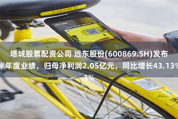 塔城股票配资公司 远东股份(600869.SH)发布半年度业绩，归母净利润2.05亿元，同比增长43.13%