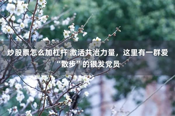 炒股票怎么加杠杆 激活共治力量，这里有一群爱“散步”的银发党员