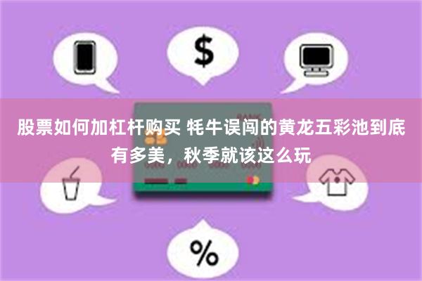 股票如何加杠杆购买 牦牛误闯的黄龙五彩池到底有多美,秋季就该这么玩