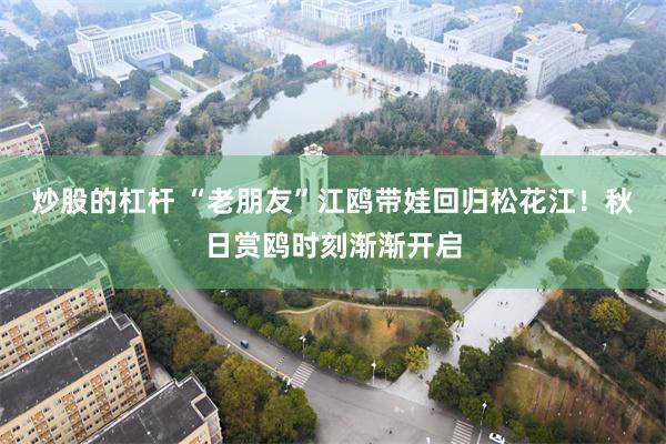 炒股的杠杆 “老朋友”江鸥带娃回归松花江！秋日赏鸥时刻渐渐开启
