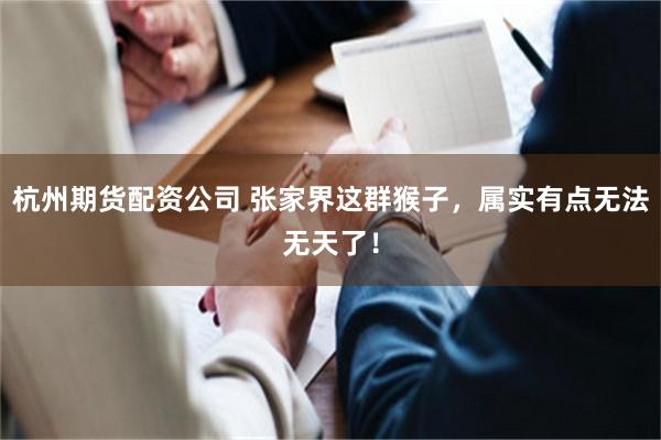杭州期货配资公司 张家界这群猴子，属实有点无法无天了！