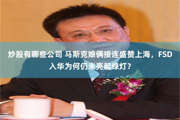 炒股有哪些公司 马斯克娘俩接连盛赞上海，FSD入华为何仍未亮起绿灯？