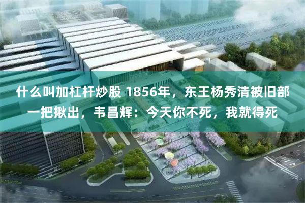 什么叫加杠杆炒股 1856年，东王杨秀清被旧部一把揪出，韦昌辉：今天你不死，我就得死