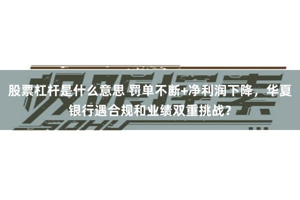 股票杠杆是什么意思 罚单不断+净利润下降，华夏银行遇合规和业绩双重挑战？
