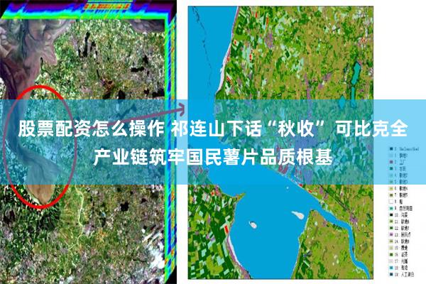 股票配资怎么操作 祁连山下话“秋收” 可比克全产业链筑牢国民薯片品质根基