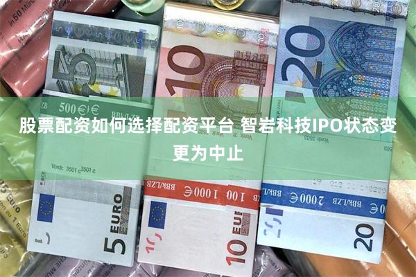 股票配资如何选择配资平台 智岩科技IPO状态变更为中止