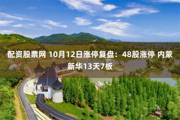 配资股票网 10月12日涨停复盘：48股涨停 内蒙新华13天7板