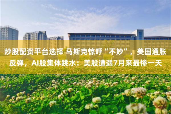 炒股配资平台选择 马斯克惊呼“不妙”，美国通胀反弹，AI股集体跳水：美股遭遇7月来最惨一天